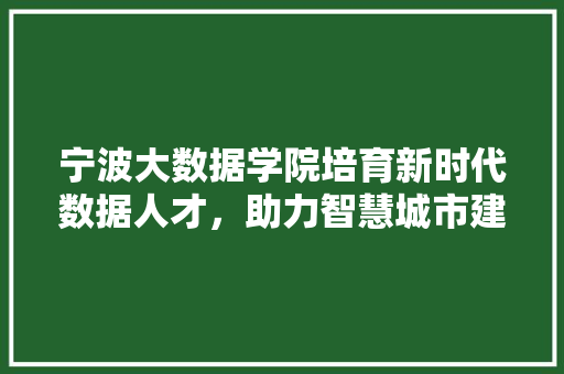 宁波大数据学院培育新时代数据人才,助力智慧城市建设 宁波大数据学院培育新时代数据人才,助力智慧城市建设