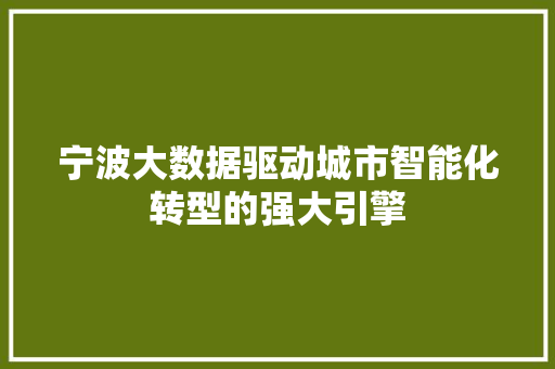 宁波大数据驱动城市智能化转型的强大引擎