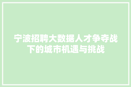 宁波招聘大数据人才争夺战下的城市机遇与挑战