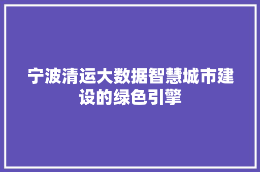宁波清运大数据智慧城市建设的绿色引擎