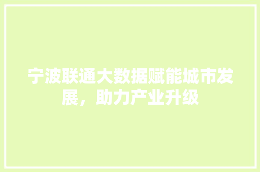 宁波联通大数据赋能城市发展，助力产业升级