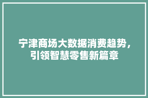 宁津商场大数据消费趋势，引领智慧零售新篇章