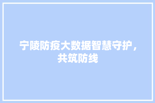 宁陵防疫大数据智慧守护，共筑防线