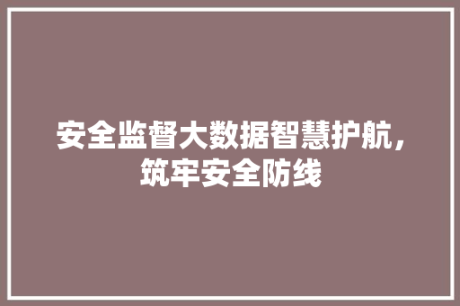 安全监督大数据智慧护航,筑牢安全防线 安全监督大数据智慧护航,筑牢安全防线