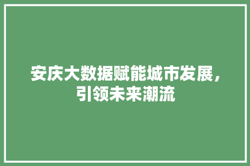 安庆大数据赋能城市发展，引领未来潮流