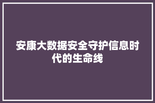 安康大数据安全守护信息时代的生命线