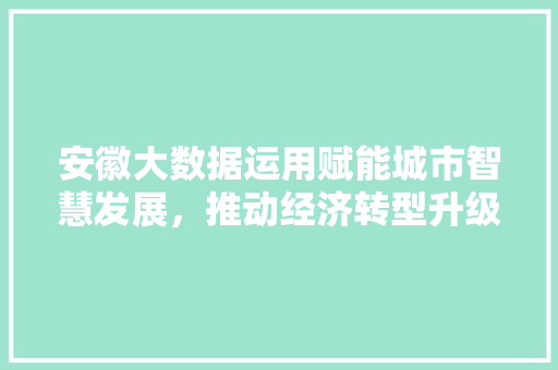安徽大数据运用赋能城市智慧发展，推动经济转型升级