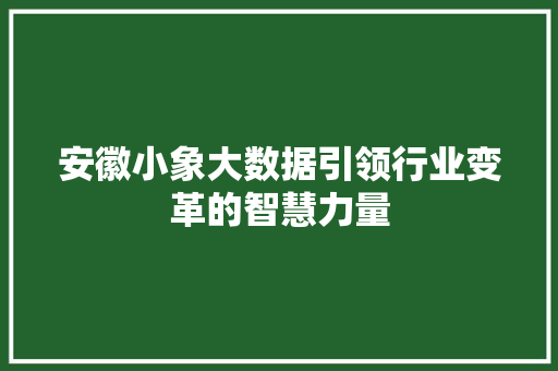 安徽小象大数据引领行业变革的智慧力量