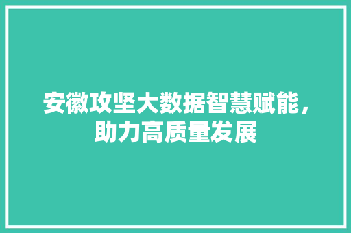 安徽攻坚大数据智慧赋能，助力高质量发展