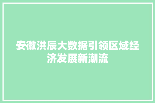安徽洪辰大数据引领区域经济发展新潮流