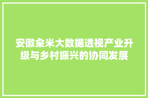 安徽籴米大数据透视产业升级与乡村振兴的协同发展