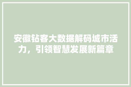安徽钻客大数据解码城市活力，引领智慧发展新篇章