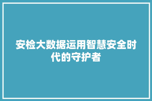 安检大数据运用智慧安全时代的守护者