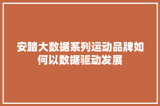 安踏大数据系列运动品牌如何以数据驱动发展
