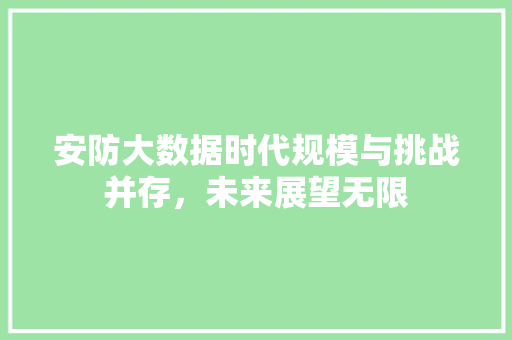 安防大数据时代规模与挑战并存，未来展望无限