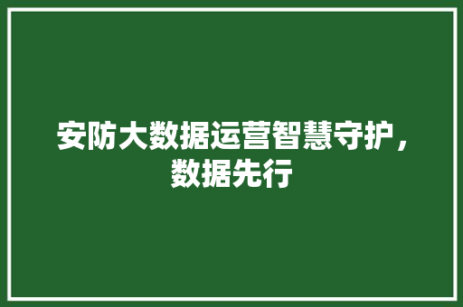 安防大数据运营智慧守护，数据先行