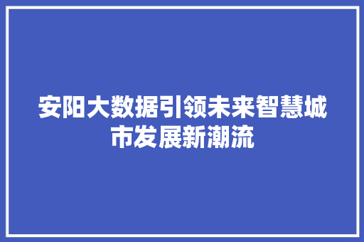安阳大数据引领未来智慧城市发展新潮流