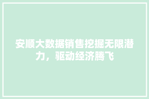 安顺大数据销售挖掘无限潜力，驱动经济腾飞
