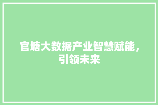 官塘大数据产业智慧赋能，引领未来