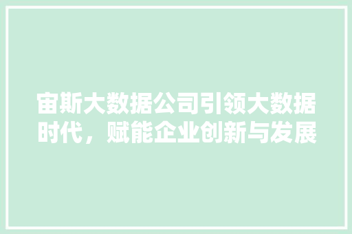 宙斯大数据公司引领大数据时代，赋能企业创新与发展
