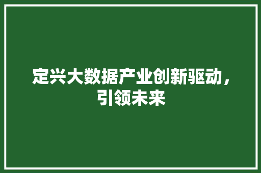 定兴大数据产业创新驱动，引领未来