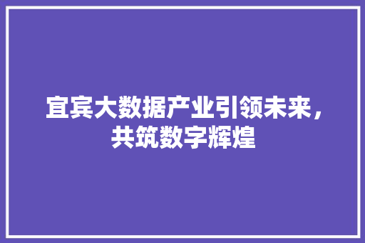 宜宾大数据产业引领未来,共筑数字辉煌 宜宾大数据产业引领未来,共筑数字辉煌