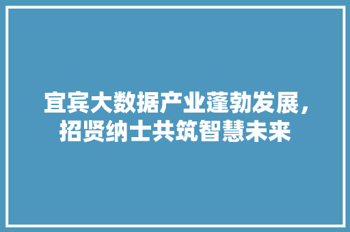 宜宾大数据产业蓬勃发展,招贤纳士共筑智慧未来 宜宾大数据产业蓬勃发展,招贤纳士共筑智慧未来