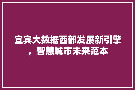 宜宾大数据西部发展新引擎,智慧城市未来范本 宜宾大数据西部发展新引擎,智慧城市未来范本