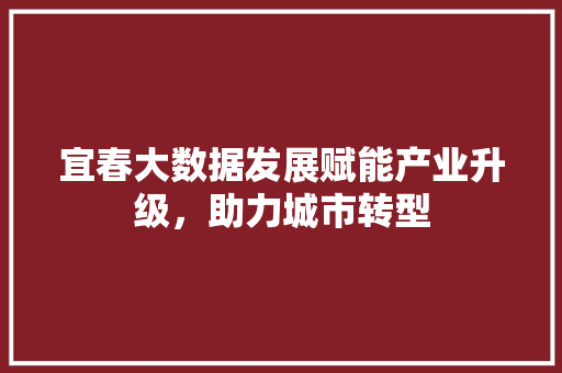 宜春大数据发展赋能产业升级，助力城市转型