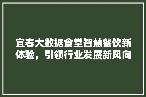 宜春大数据食堂智慧餐饮新体验，引领行业发展新风向