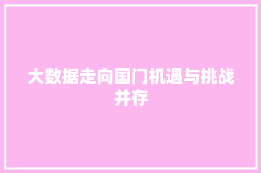 大数据走向国门机遇与挑战并存