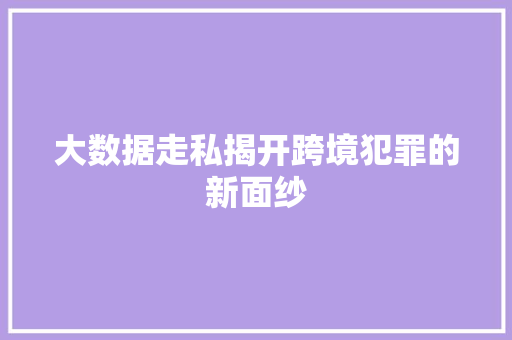 大数据走私揭开跨境犯罪的新面纱 电脑配置 大数据走私揭开跨境犯罪的新面纱 电脑配置