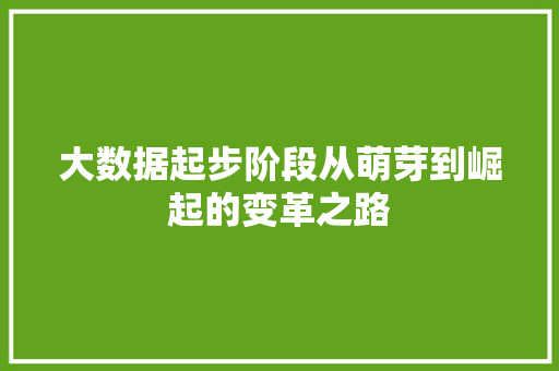 大数据起步阶段从萌芽到崛起的变革之路