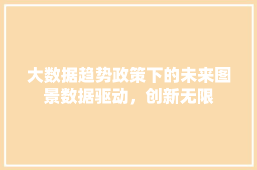 大数据趋势政策下的未来图景数据驱动，创新无限