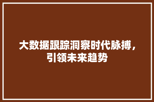 大数据跟踪洞察时代脉搏，引领未来趋势