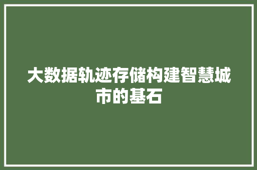 大数据轨迹存储构建智慧城市的基石 网络技术