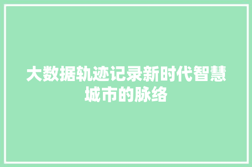 大数据轨迹记录新时代智慧城市的脉络