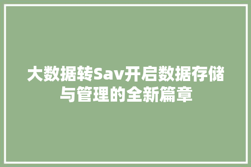 大数据转Sav开启数据存储与管理的全新篇章 操作系统