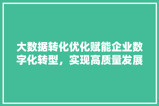 大数据转化优化赋能企业数字化转型，实现高质量发展 编程语言