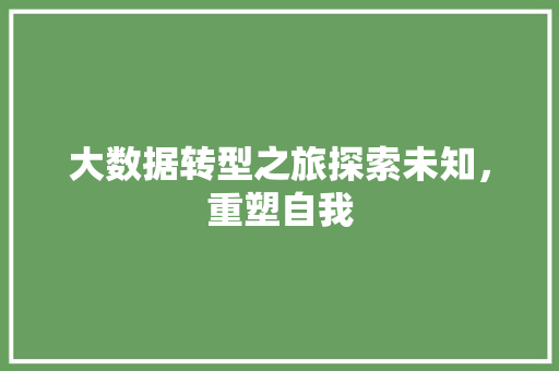 大数据转型之旅探索未知，重塑自我 电脑基础