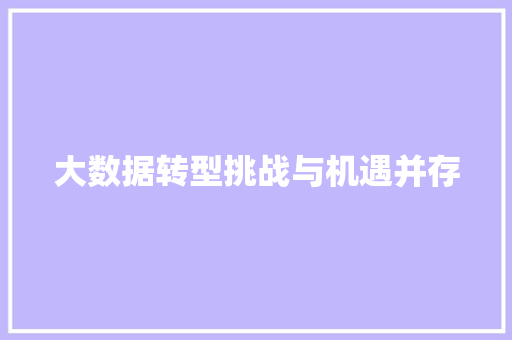 大数据转型挑战与机遇并存 电脑基础