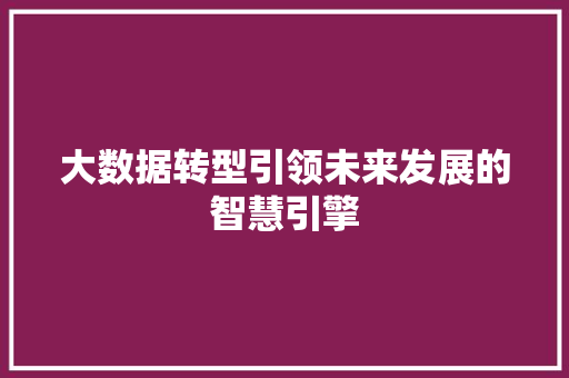 大数据转型引领未来发展的智慧引擎 编程语言