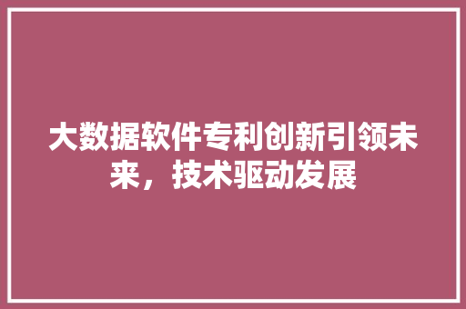 大数据软件专利创新引领未来,技术驱动发展 网络技术 大数据软件专利创新引领未来,技术驱动发展 网络技术