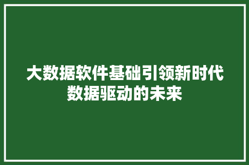 大数据软件基础引领新时代数据驱动的未来 电脑配置