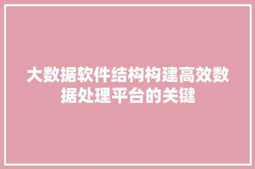 大数据软件结构构建高效数据处理平台的关键 网络技术