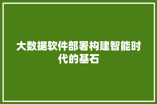 大数据软件部署构建智能时代的基石 网络技术