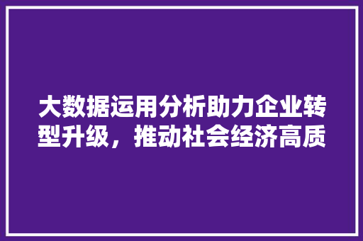 大数据运用分析助力企业转型升级,推动社会经济高质量发展 编程语言 大数据运用分析助力企业转型升级,推动社会经济高质量发展 编程语言