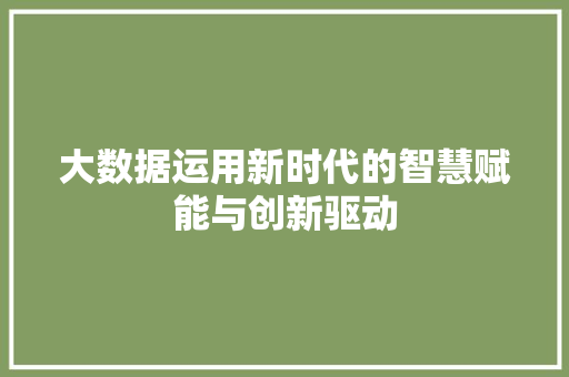 大数据运用新时代的智慧赋能与创新驱动 编程语言 大数据运用新时代的智慧赋能与创新驱动 编程语言