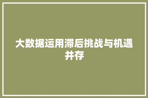 大数据运用滞后挑战与机遇并存 电脑配置