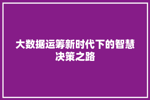 大数据运筹新时代下的智慧决策之路 编程语言